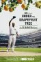 Nonton film Under The Grapefruit Tree: The CC Sabathia Story (2020)